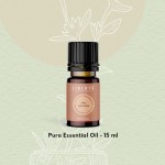 Pine Sylvestris
